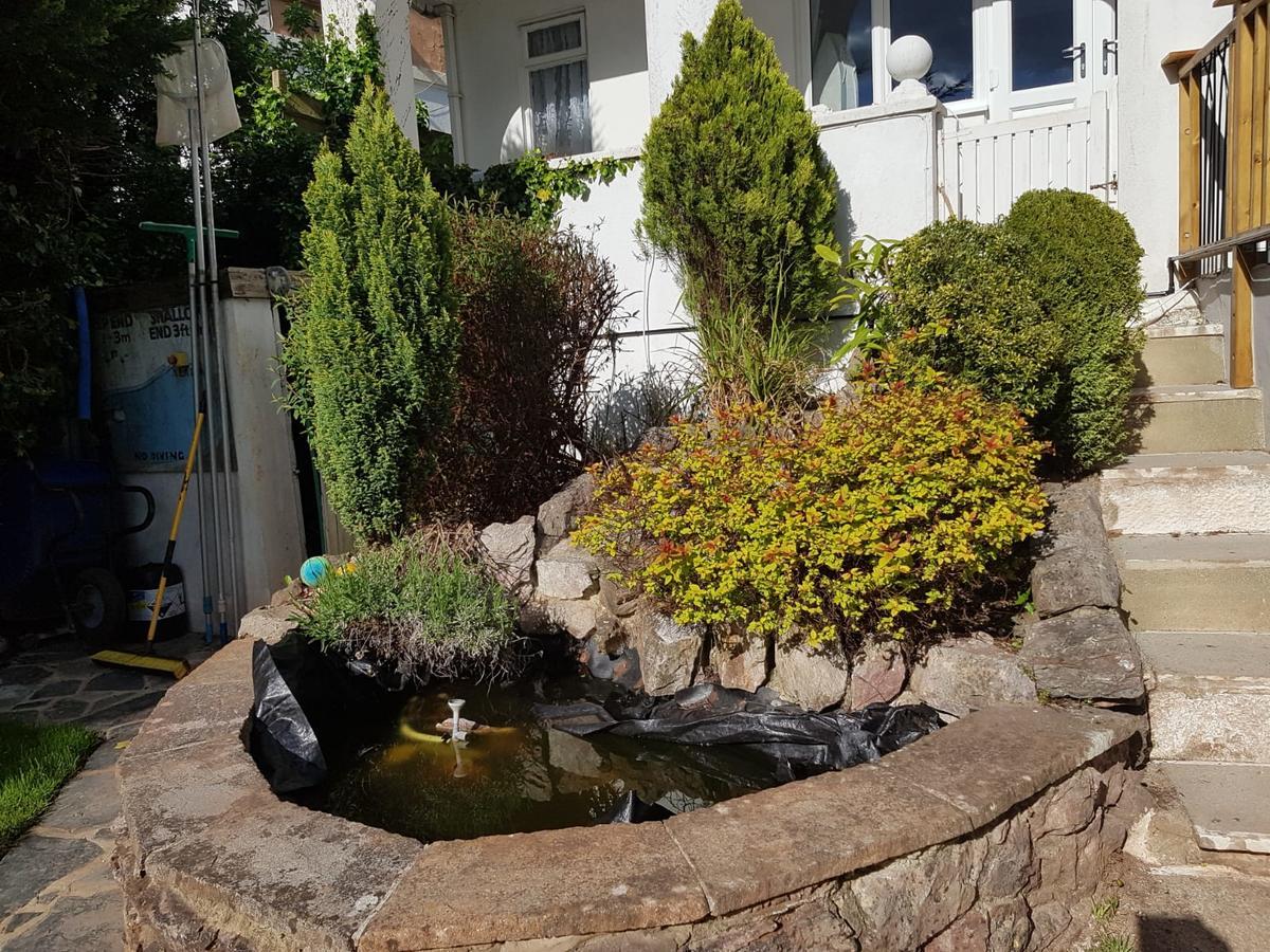 Отель Glenorleigh Торки Экстерьер фото